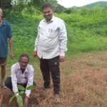 वृक्षारोपण